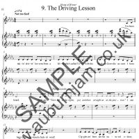 The Driving Lesson Sample